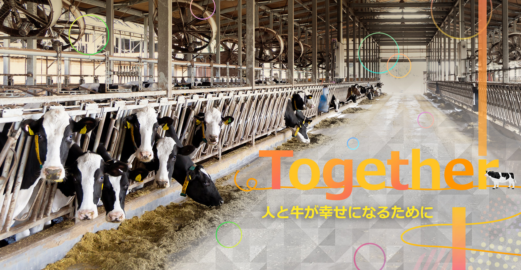 有限会社平山牧場